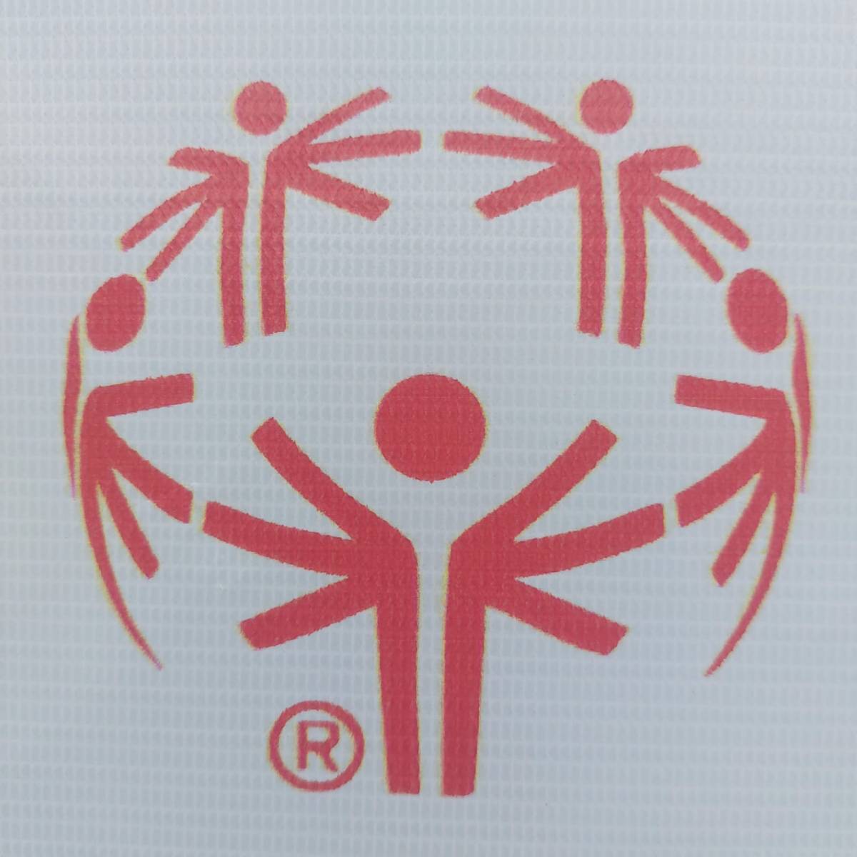 Special Olympics - Assam