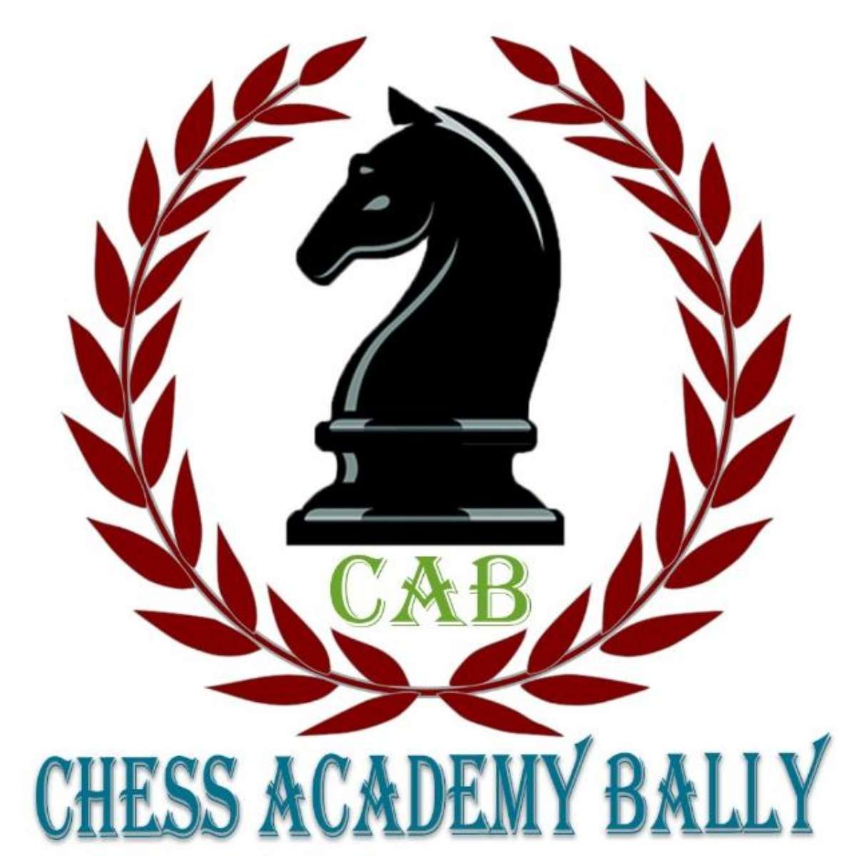 Chess Academy Bally