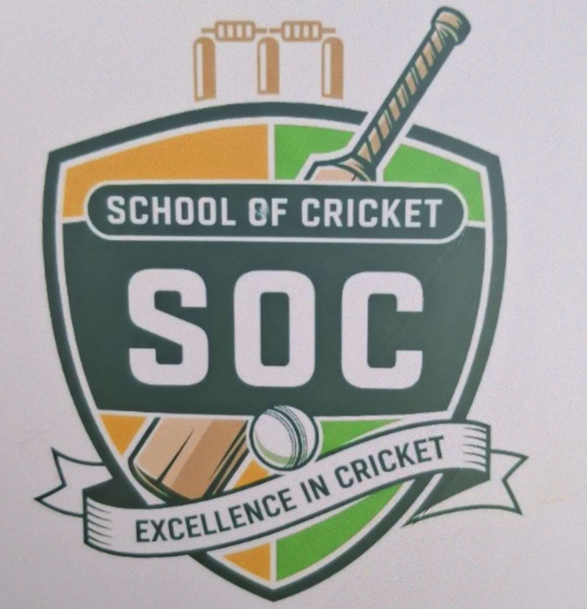 School of cricket