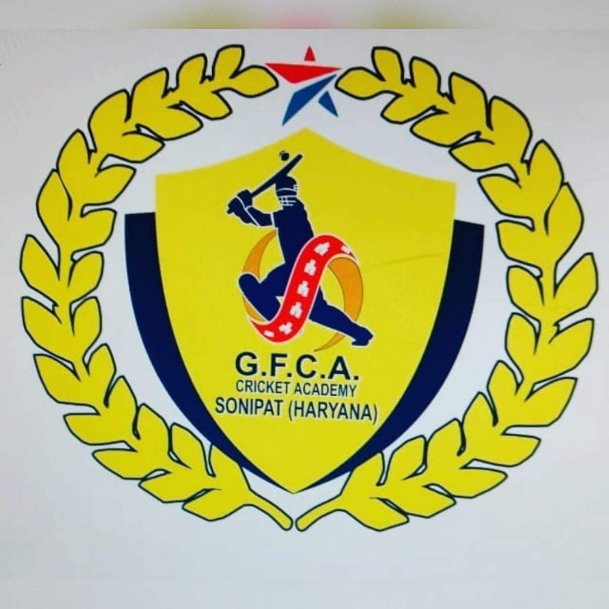 Greenfield Cricket Academy