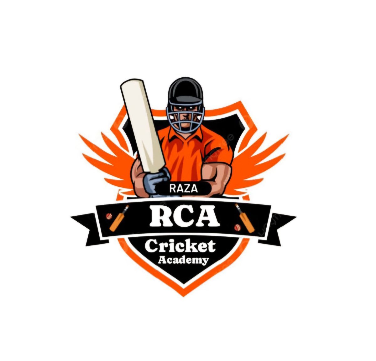 Raza cricket academy