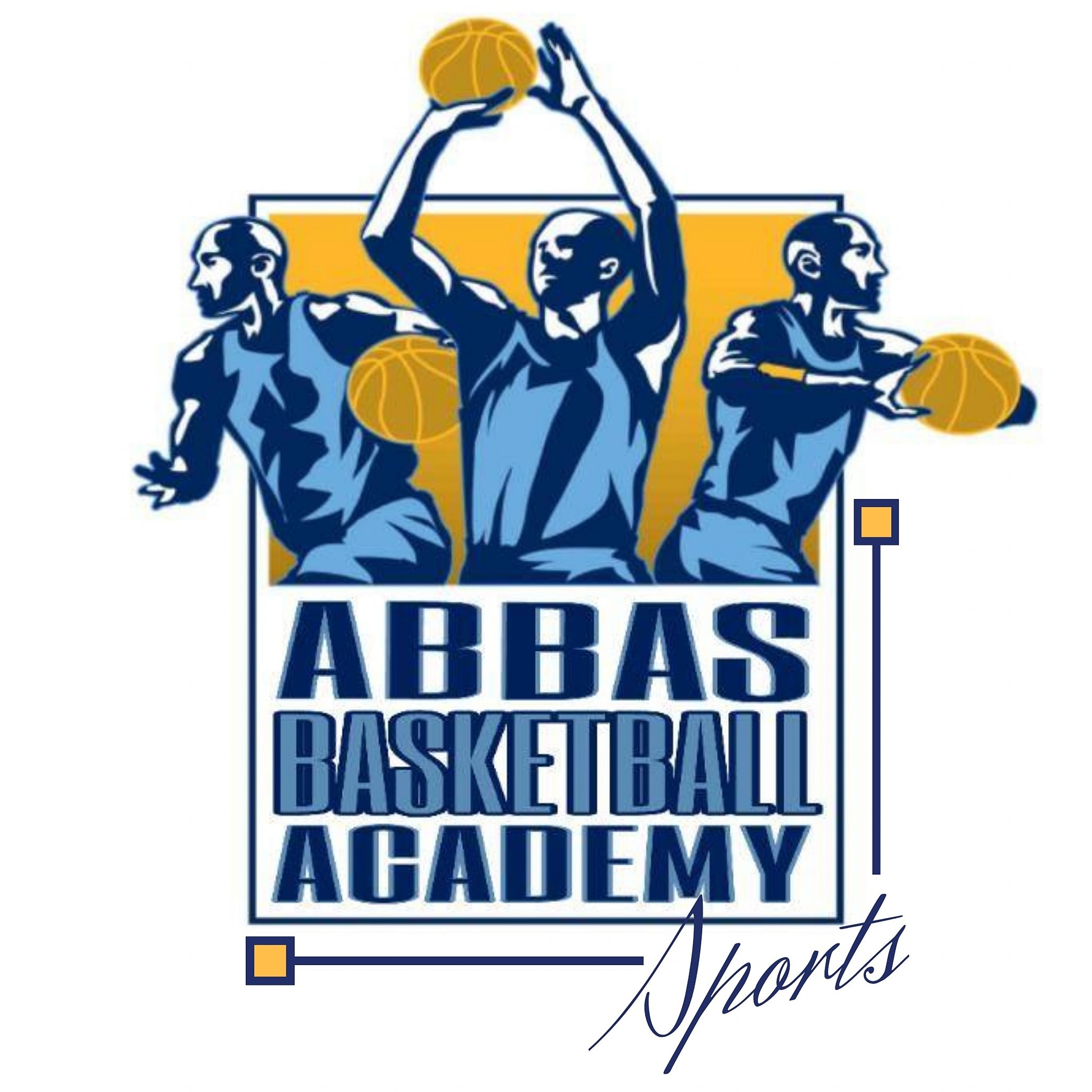 Abbas Basketball Academy and Sports - Sector 7