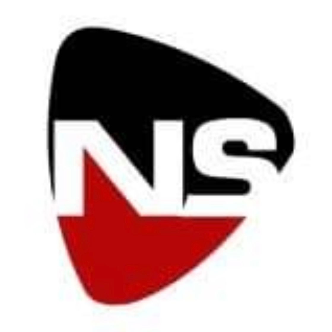 N.S Cricket Academy