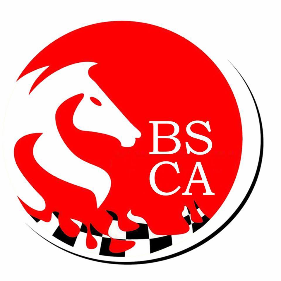 BS CHESS ACADEMY logo