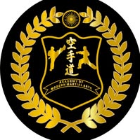 Academy of Modern Martial Arts