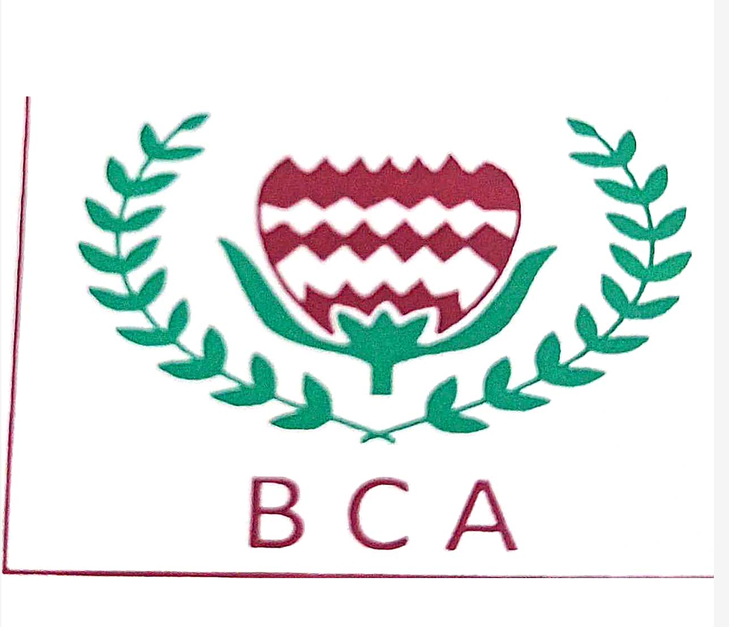 Behala Cricket Academy