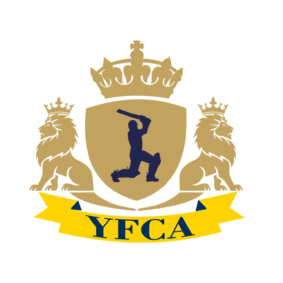 Youth Friends Cricket Academy