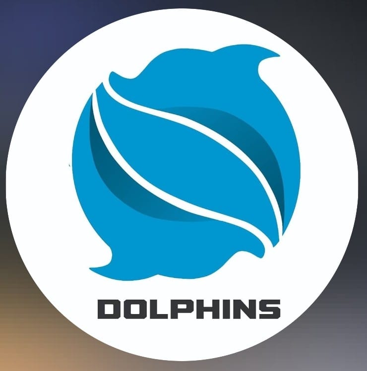 Dolphins basketball academy logo