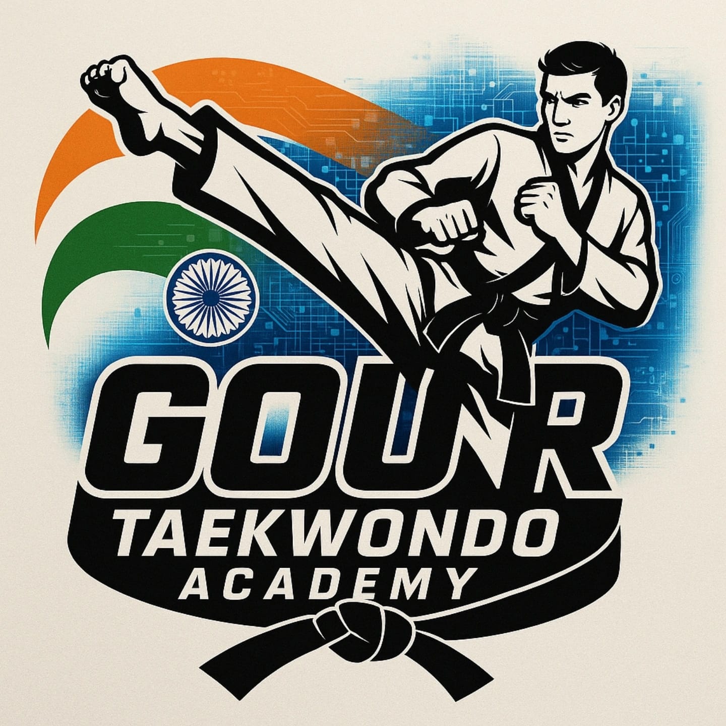 Gour Taekwondo Academy