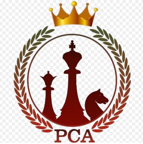 Professional chess academy logo