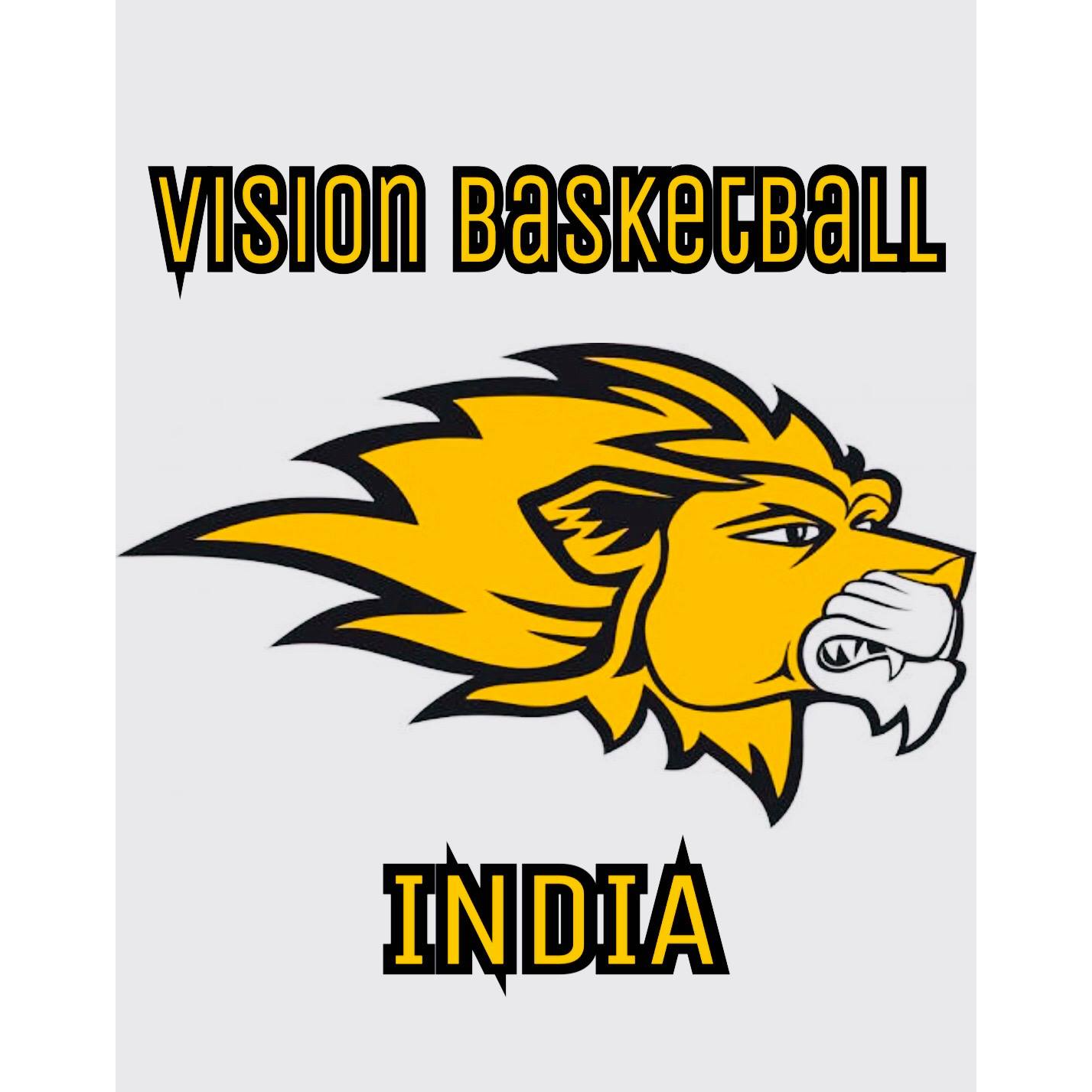 VISION BASKETBALL INDIA ACADEMY-Sector 137 Noida