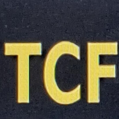 Today Chess Foundation