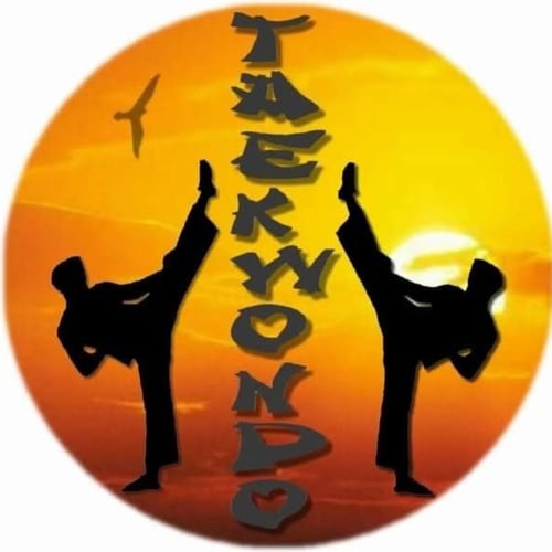 Perfect Taekwondo Academy - Narela