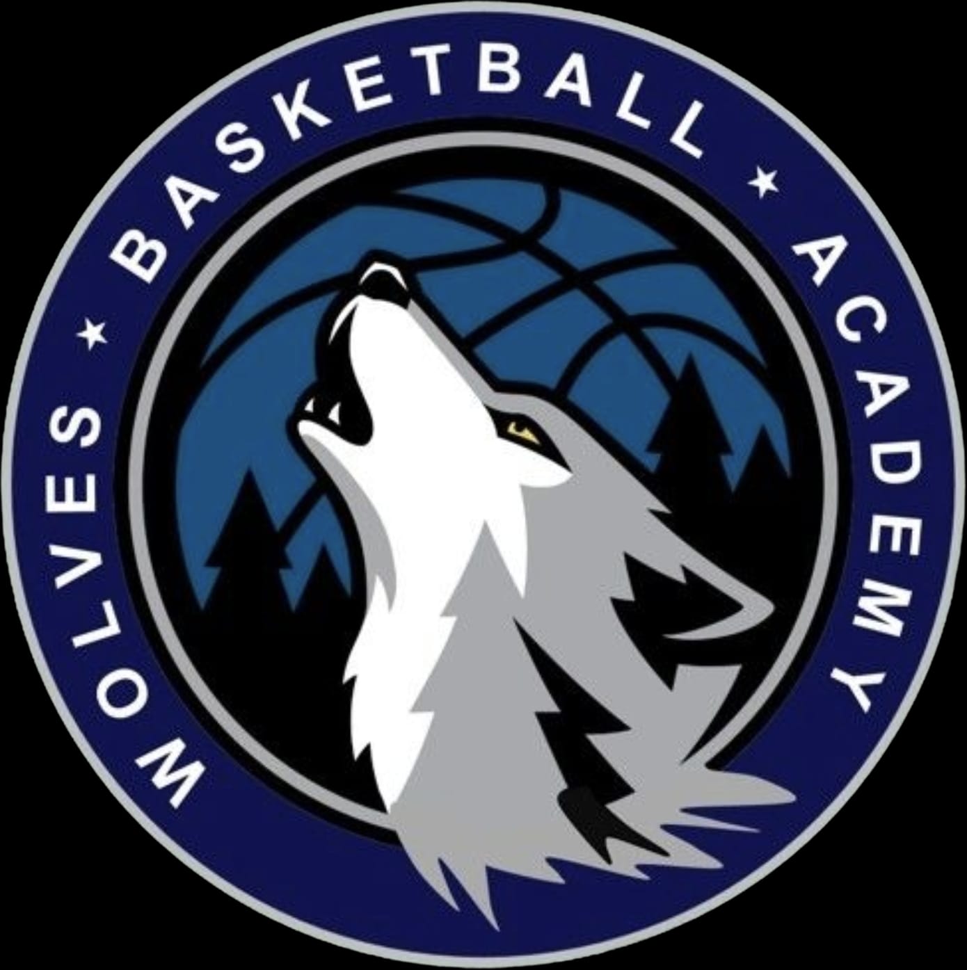 Wolves Basketball Academy