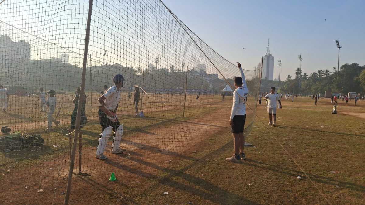 School of cricket