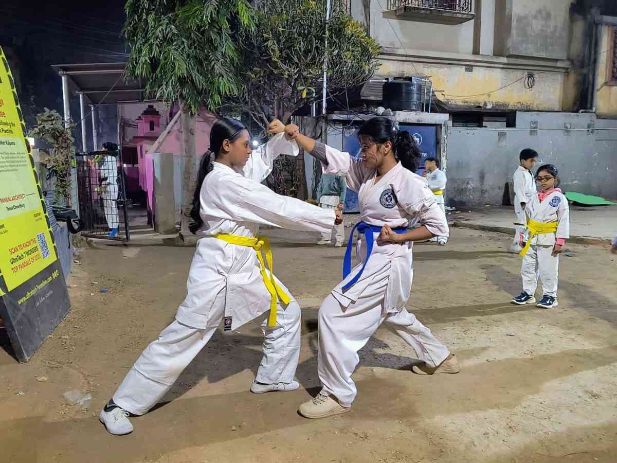 Seishinkai Shito-Ryu Karate Do Federation