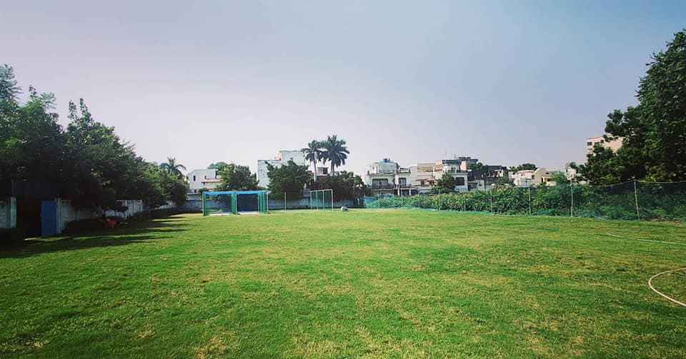 MS7 Cricket Academy