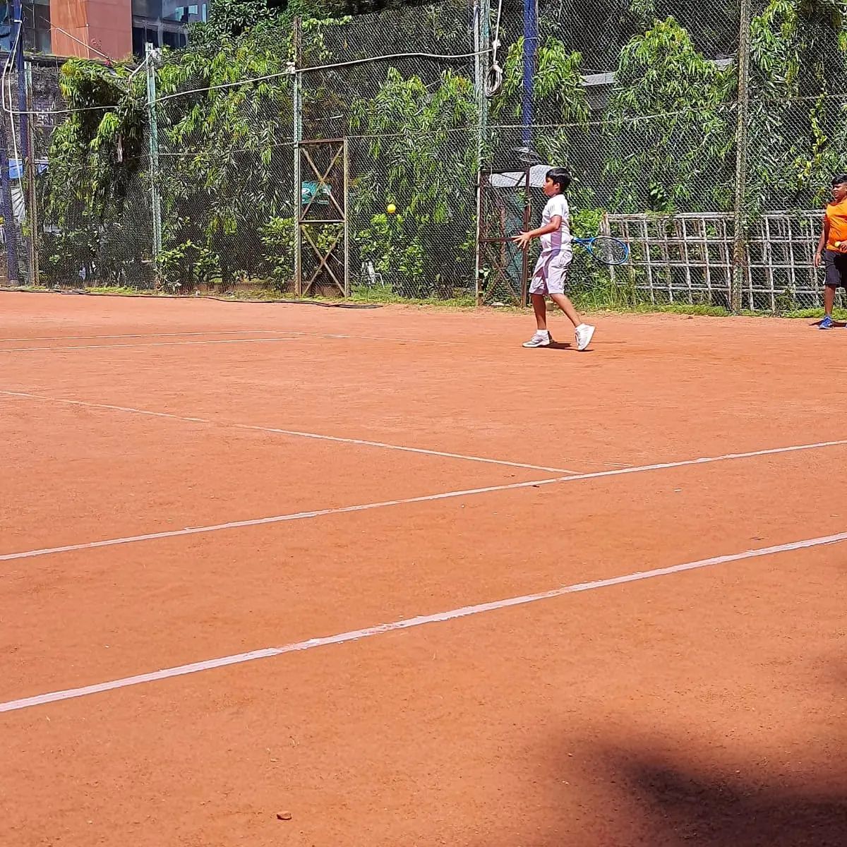 The Tennis Tree