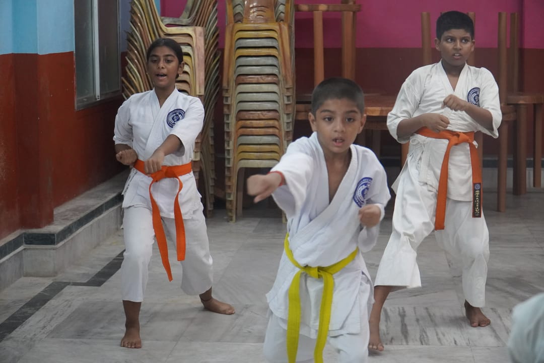 UNITED SEISHINKAI SHITORYU KARATE DO ACADEMY-Dum Dum