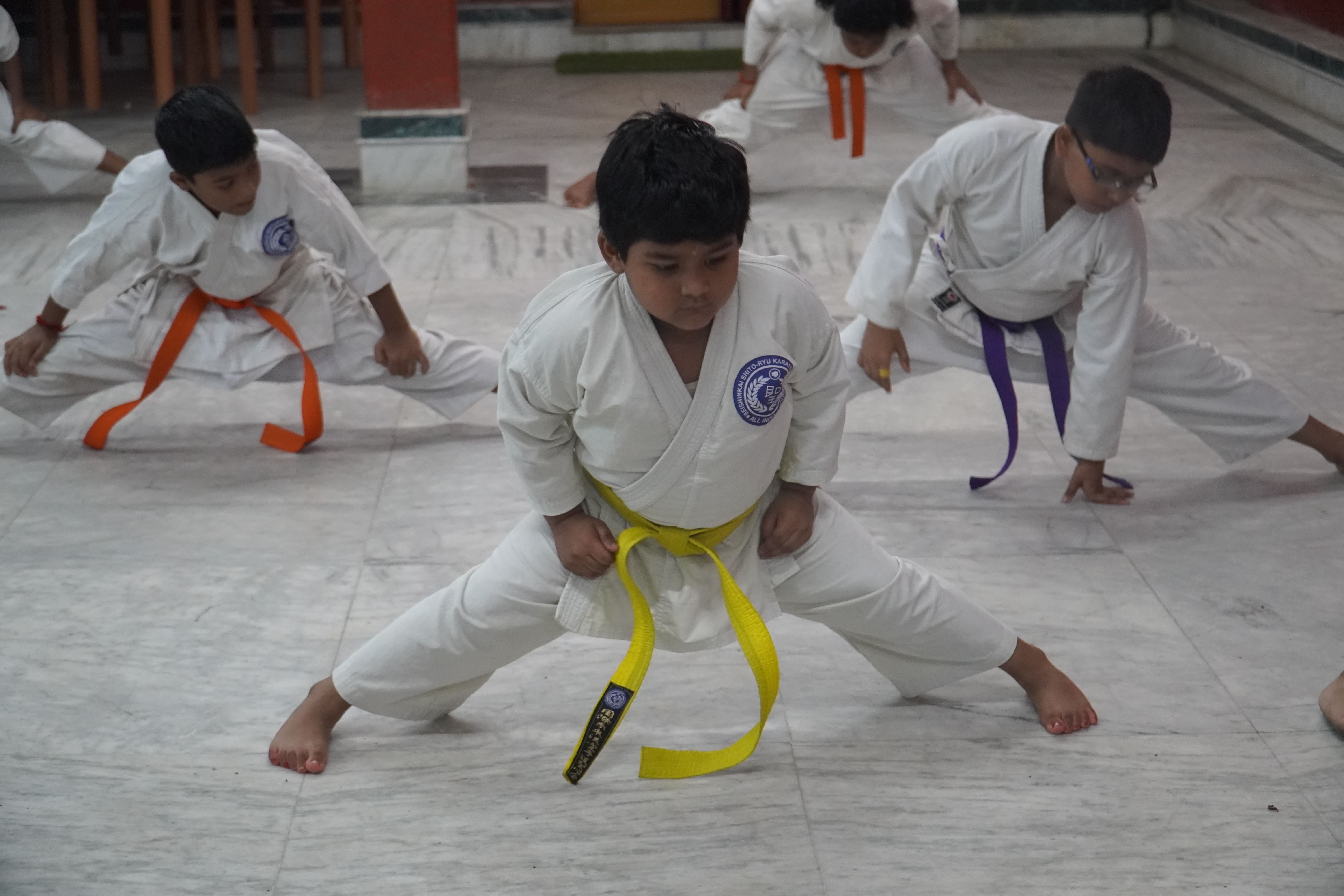 UNITED SEISHINKAI SHITORYU KARATE DO ACADEMY-Sapuipara