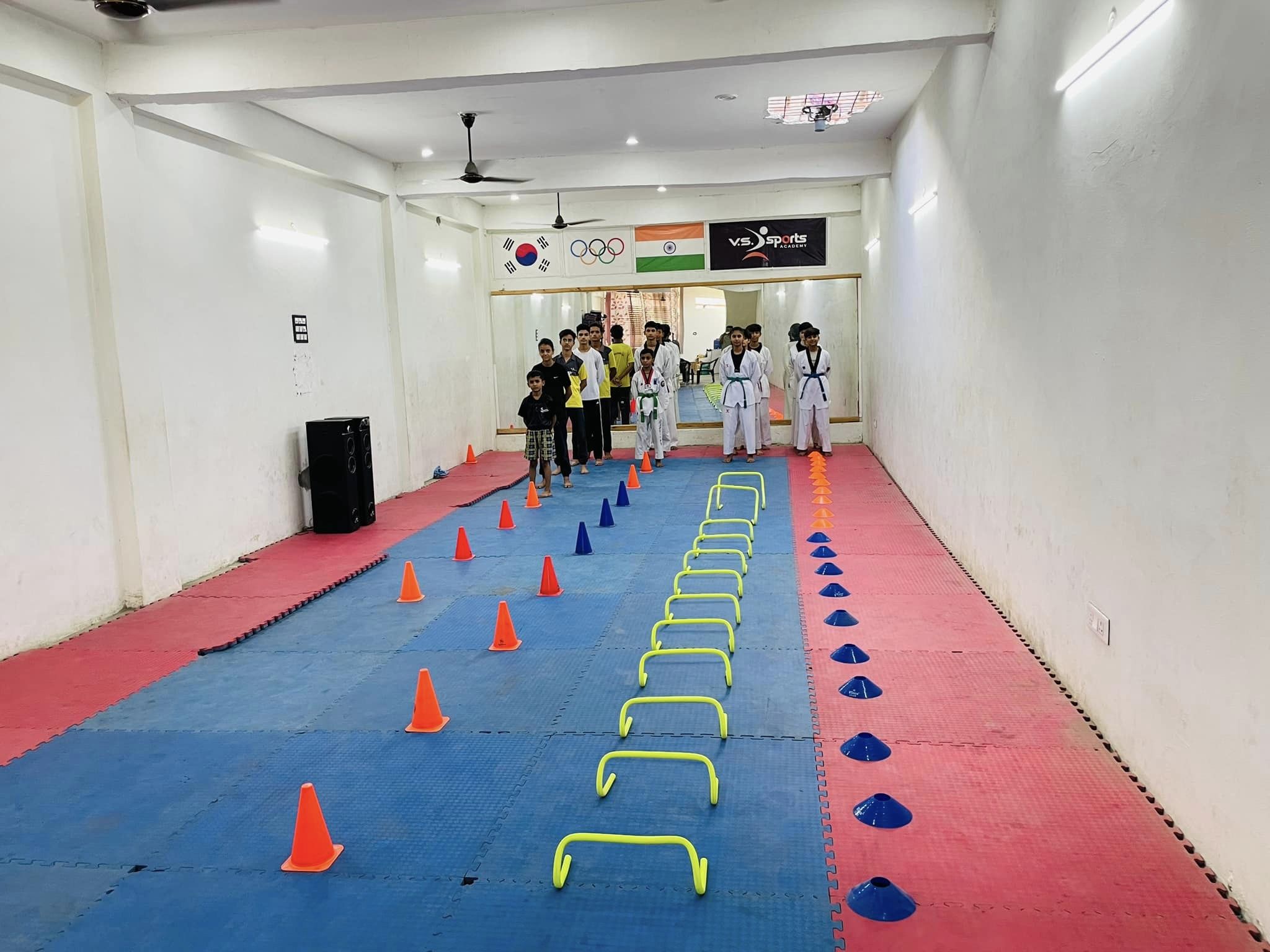 V. S. Sports Academy