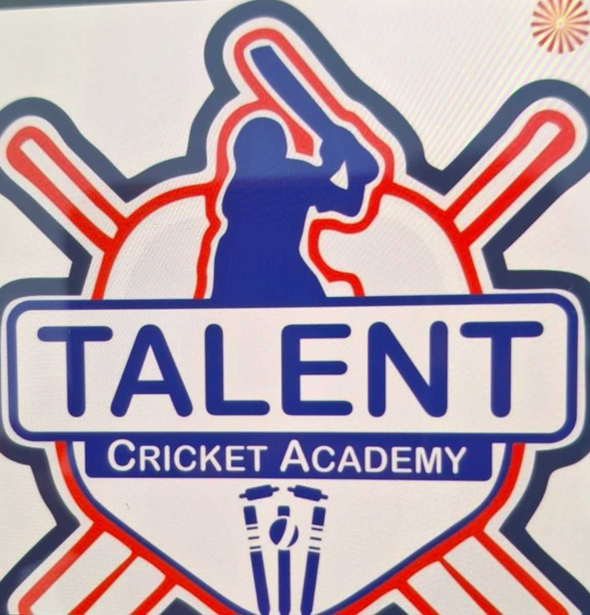 Talent cricket academy
