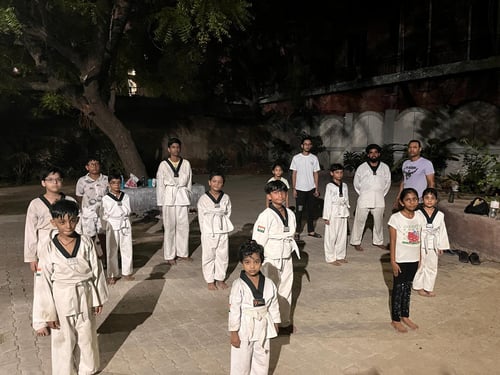 Perfect Taekwondo Academy - Narela
