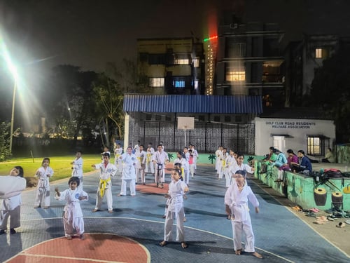 Seishinkai Indian Karate-Do & Kick Boxing Institute - Golf Green Branch