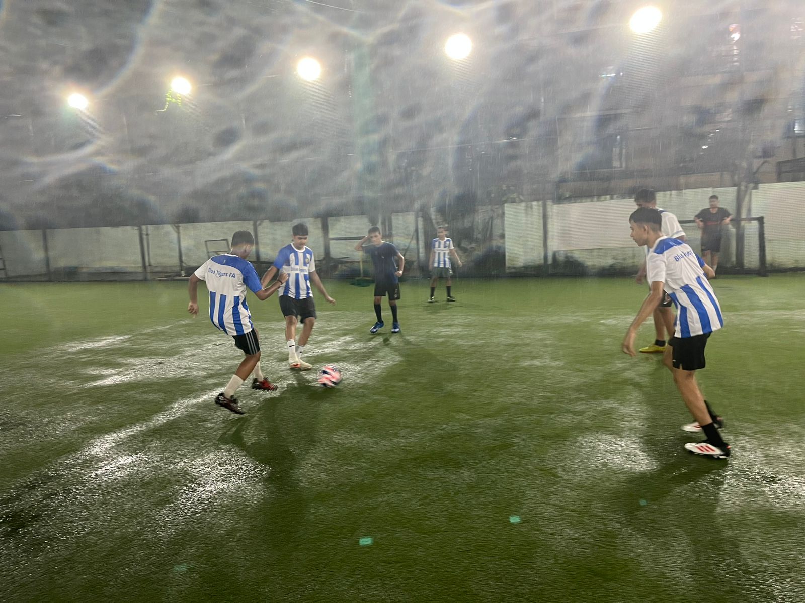 Blue Tigers FA