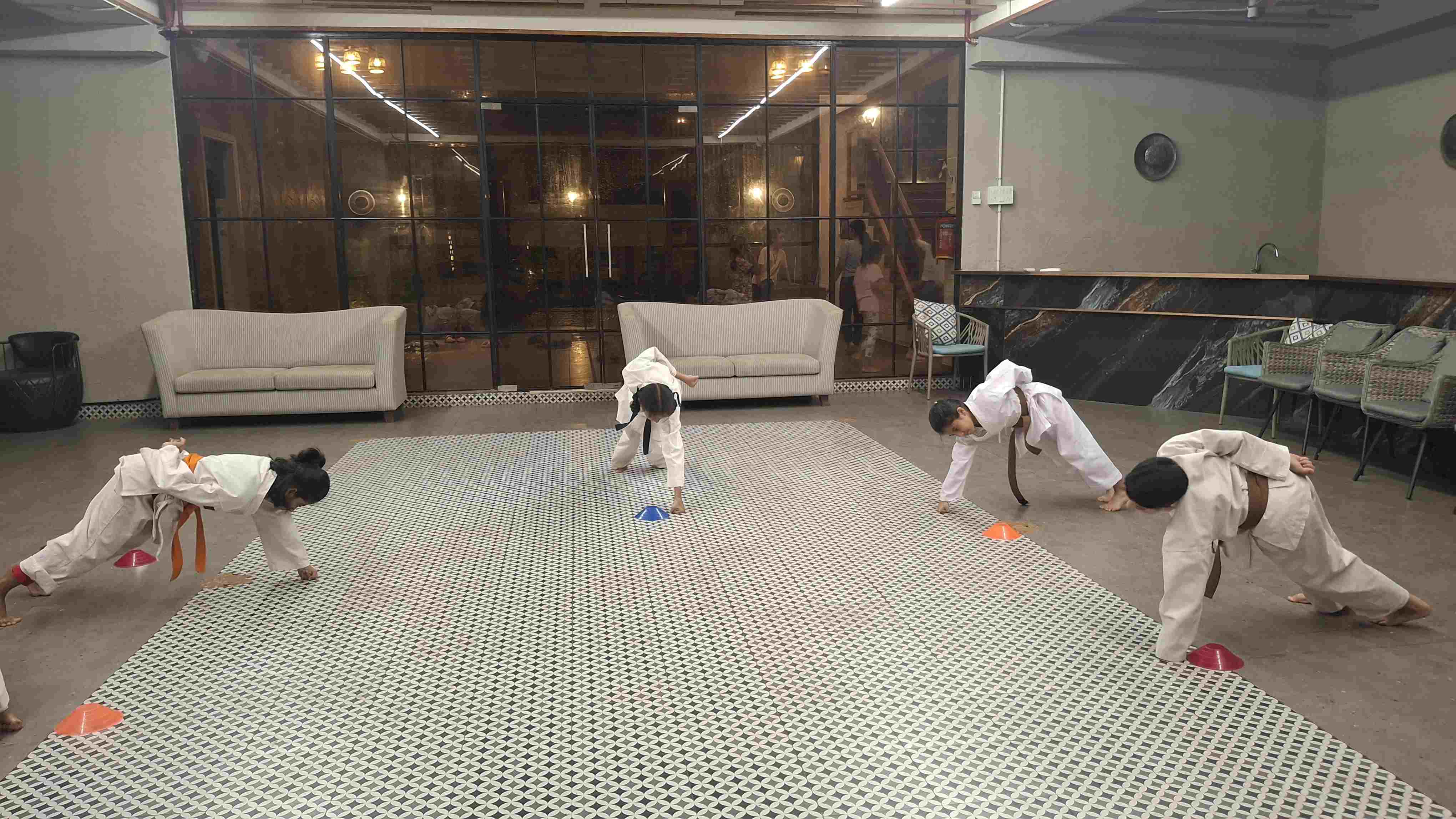 Sports India Karate Academy