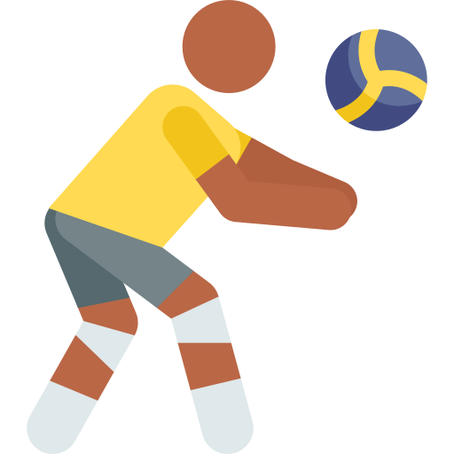 Volleyball